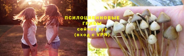 марки lsd Алзамай