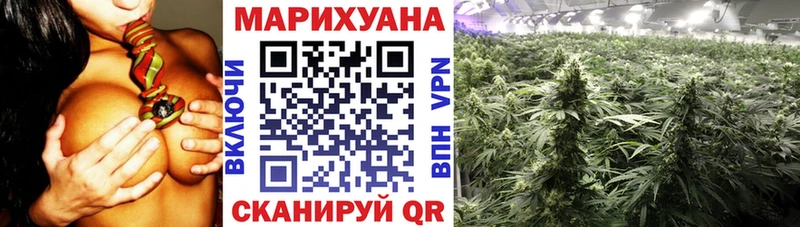 дарнет шоп  Ахтырский  Конопля ГИДРОПОН 